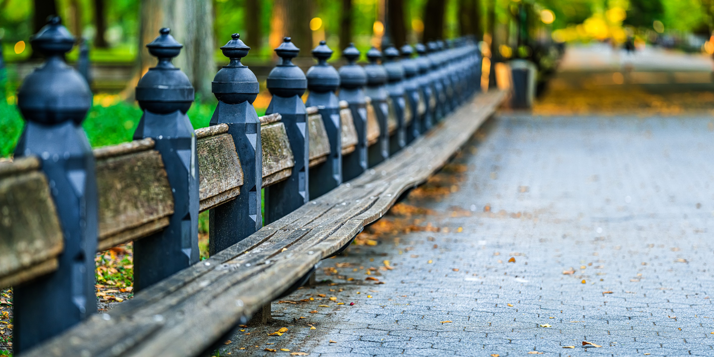 Beyti Barbaros, Benches in Central Park, New york City Beyti Barbaros, Benches in Central Park, New york City