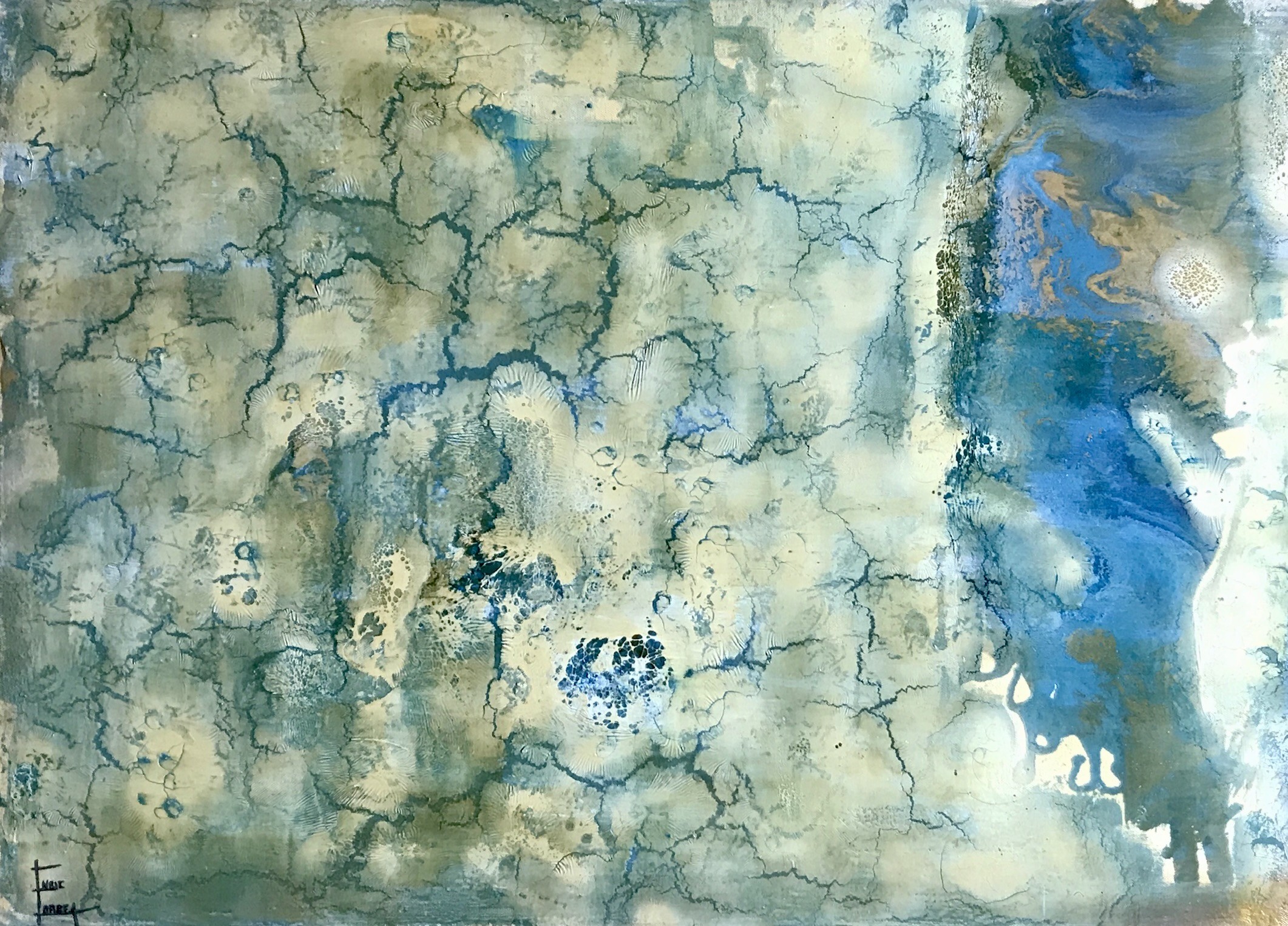 Enric Correa, Dead Sea Enric Correa, Dead Sea