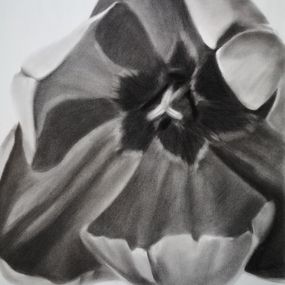 Dessin, Tulip, Anyck Alvarez Kerloch