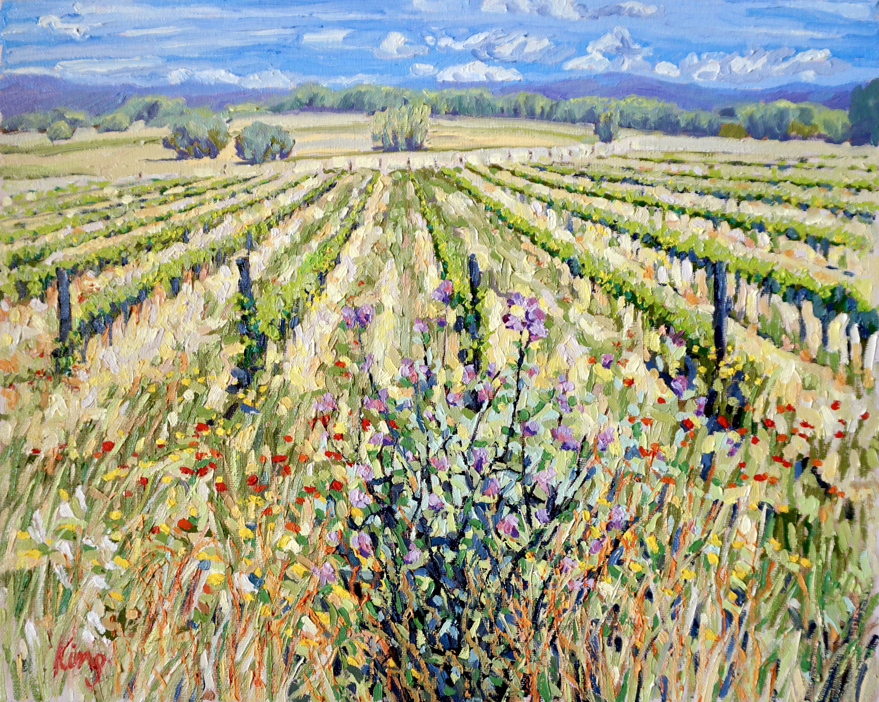 Brian King, Vineyard in Sardinia Brian King, Vineyard in Sardinia
