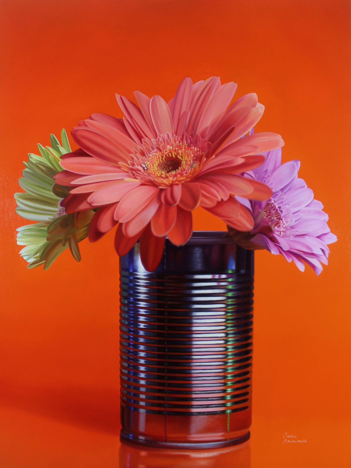 Carlos Bruscianelli, Gerberas Carlos Bruscianelli, Gerberas