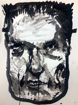 Fine Art Drawings, Frank N. Stein, Edward Zelinsky