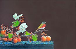Painting, I'll Keep Waiting, Gardani Art