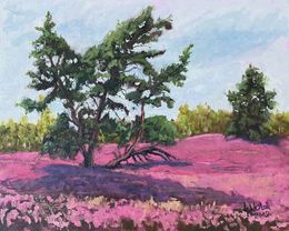 Painting, Heather blossom Lueneburg Heath, Gary Westall