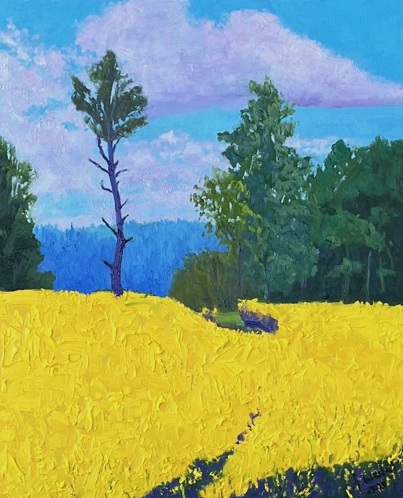 Gary Westall, Rapeseed blossom Poland Gary Westall, Rapeseed blossom Poland