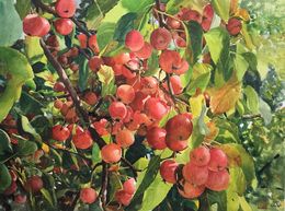 Gemälde, Apple tree_02, Helal Uddin
