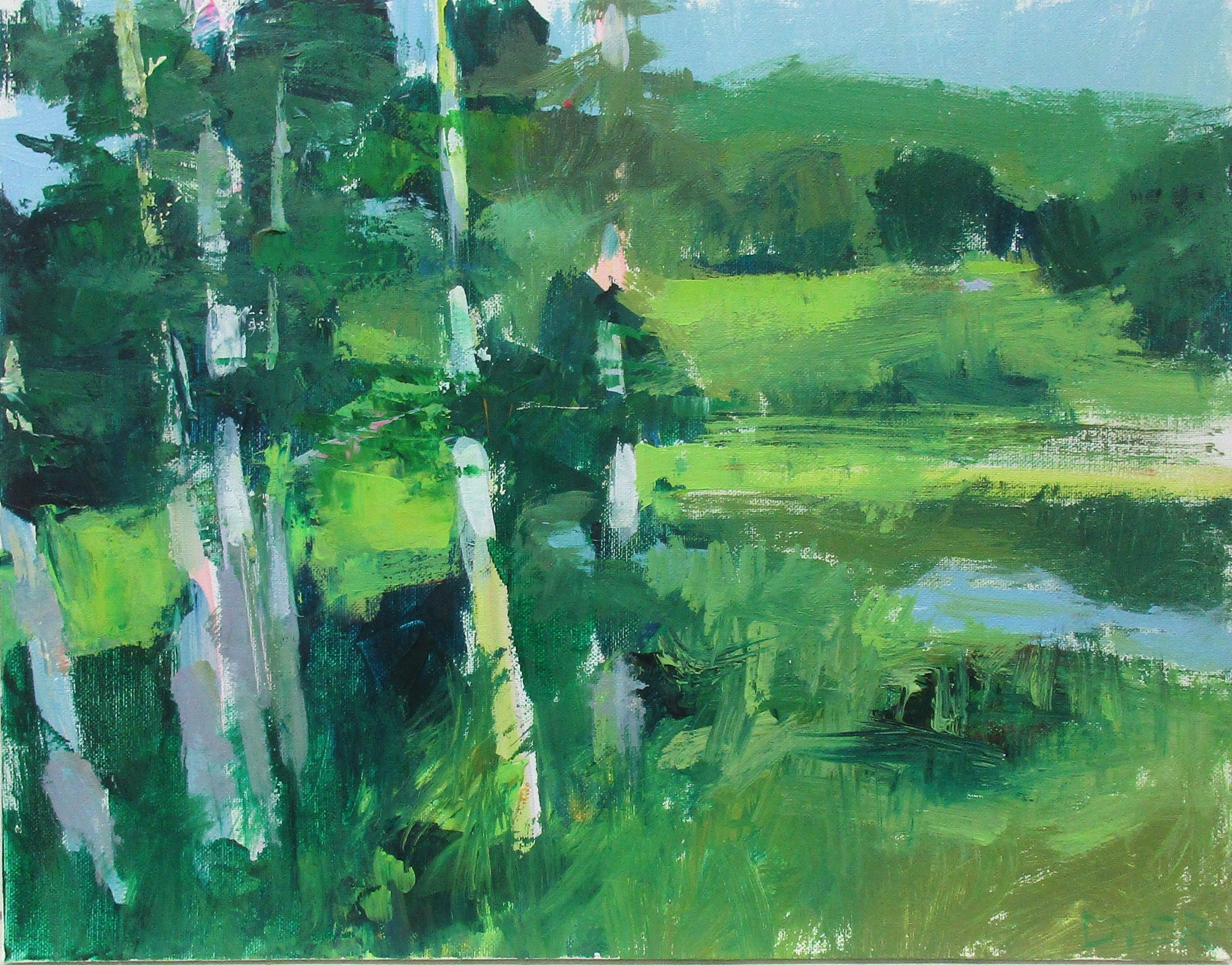 Janet Dyer, Swan Pond Janet Dyer, Swan Pond