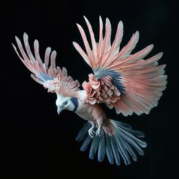Photography, Victoria crowned pigeon 2, Michael Filonow