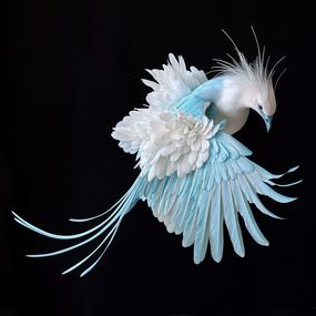 Fotografien, Victoria Crowned Pigeon, Michael Filonow