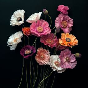 Fotografien, Poppies 10, Michael Filonow