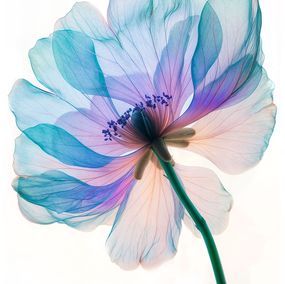 Fotografien, A Botanical 71, Michael Filonow