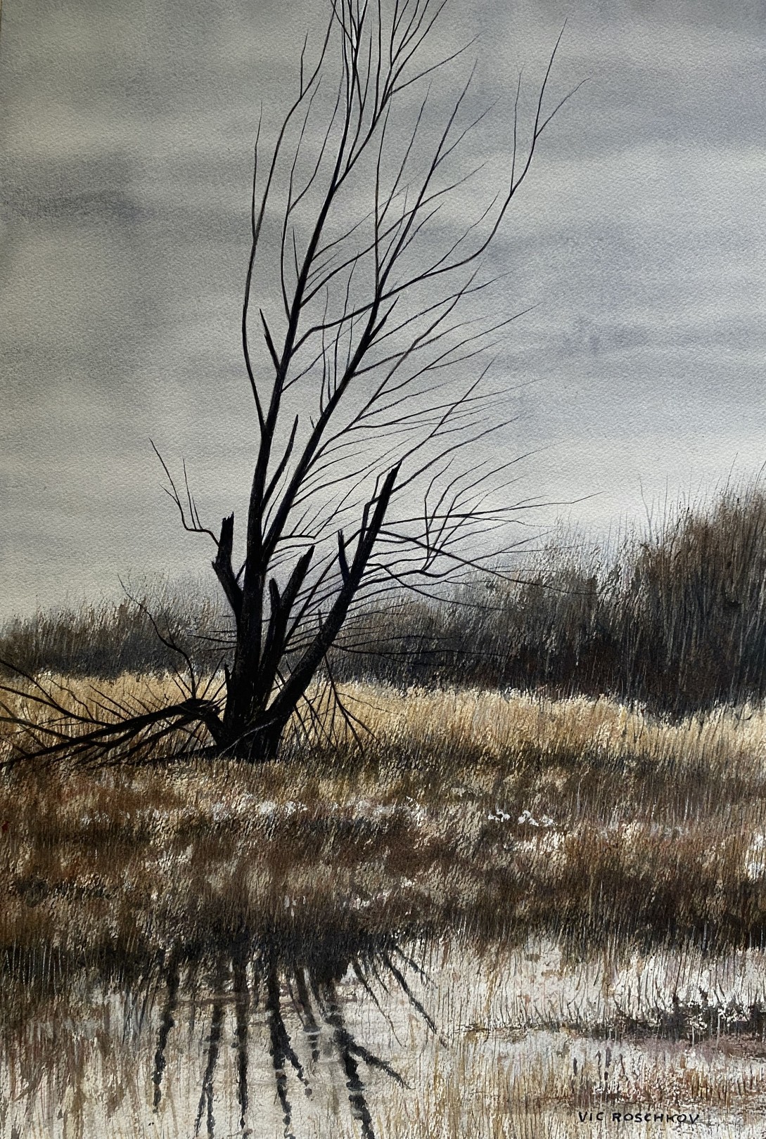 Victor Roschkov, Marshland Victor Roschkov, Marshland