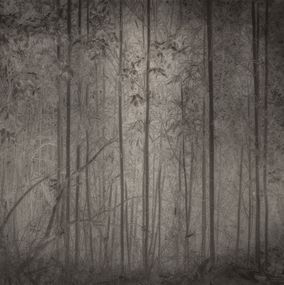 Photographie, C'est ici que j'ai perdu mes contours, Julie Peiffer