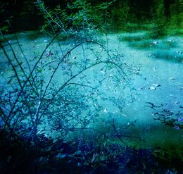 Photographie, Silence of the moon, Viet Ha Tran