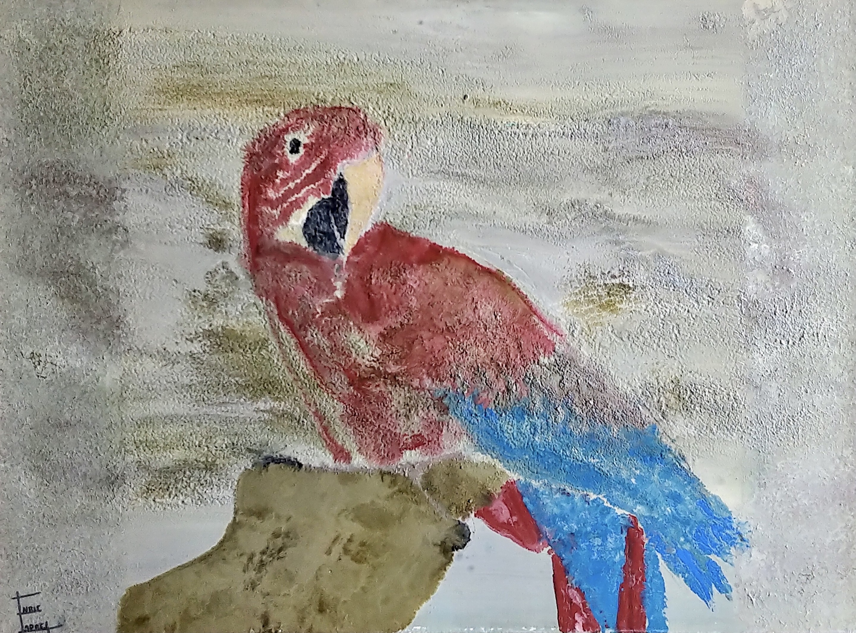 Enric Correa, Parrot Enric Correa, Parrot