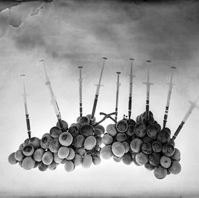 Fotografien, Vin - Perfusion oenologique - Série: Carnotzet, Moz - David Vuillermoz