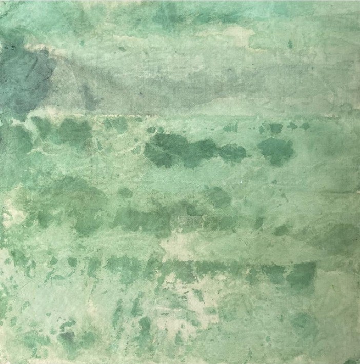 Gabriela Madrazo, The grass is greener 1/3 Gabriela Madrazo, The grass is greener 1/3