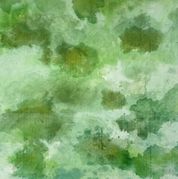 Gabriela Madrazo, The grass is greener 3/3 Gabriela Madrazo, The grass is greener 3/3