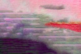 Édition, Lavender Field With Pink Flowers, Angela Cameron
