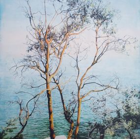 Gemälde, Rooted In The Rocks, Lori Bagnérès