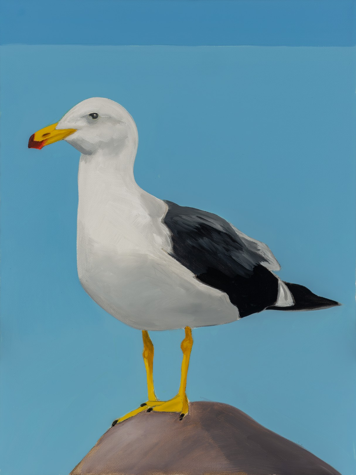 Donovan Rose, Gull 3 (Ishmael) Donovan Rose, Gull 3 (Ishmael)