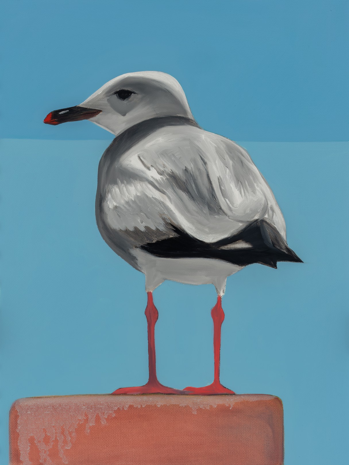 Donovan Rose, Gull 5 (Starbuck) Donovan Rose, Gull 5 (Starbuck)
