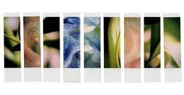 Photographie, Organism 1.4, Johana Trayanova