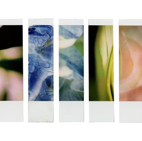Fotografien, Organism 1.4, Johana Trayanova
