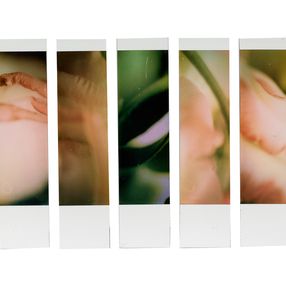 Fotografien, Organism 1.1, Johana Trayanova