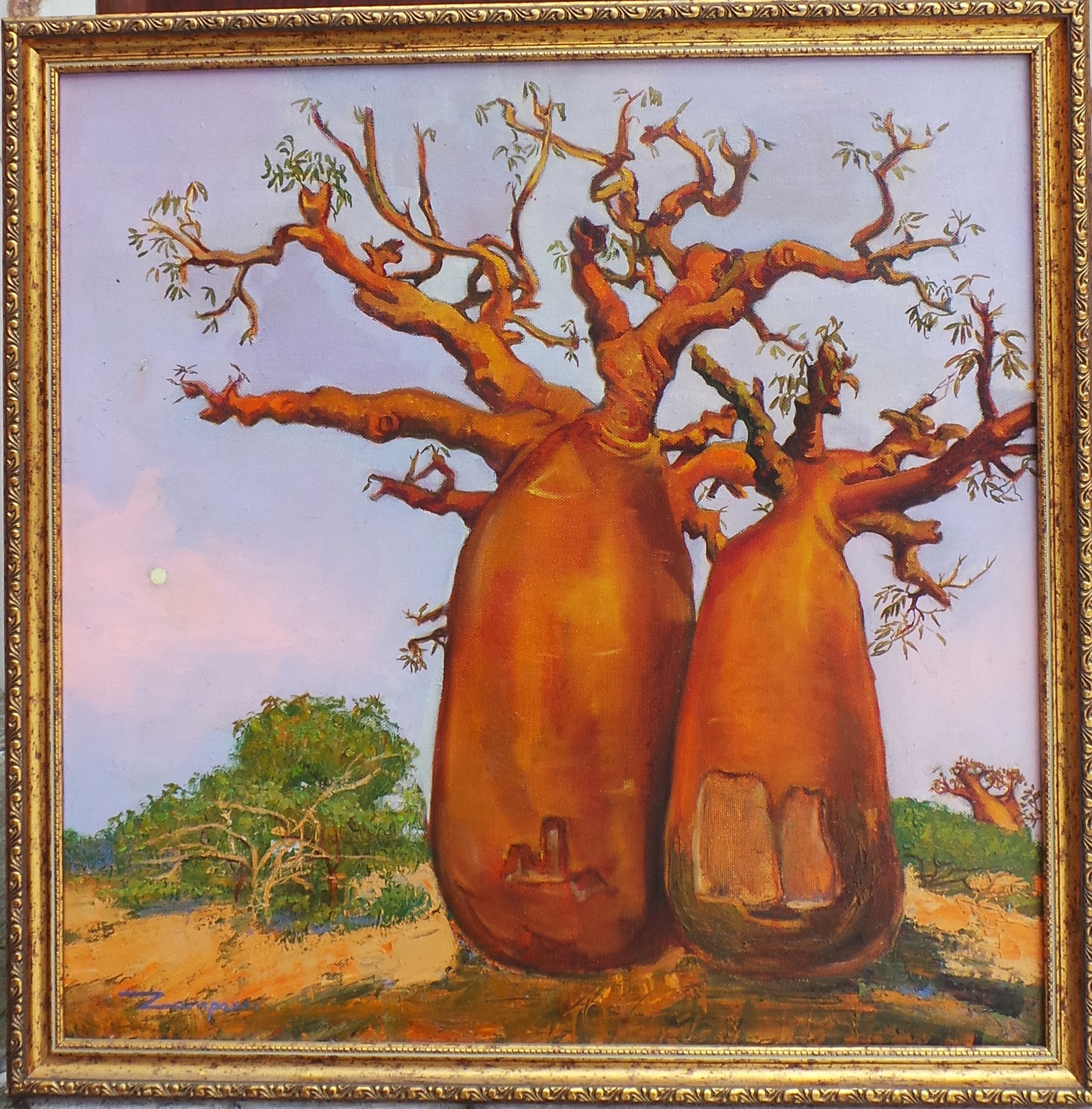 Madalena Zampassi, Baobab Madalena Zampassi, Baobab