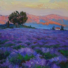Gemälde, Lavender field, Alisa Onipchenko-Cherniakovska