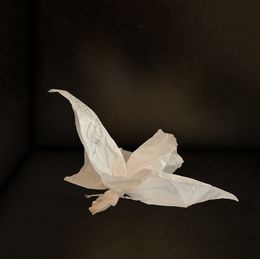 Print, Pensées en dormence, Laurent Derobert