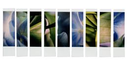 Photographie, Organism 1.2, Johana Trayanova