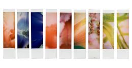Photographie, Organism 6.5, Johana Trayanova