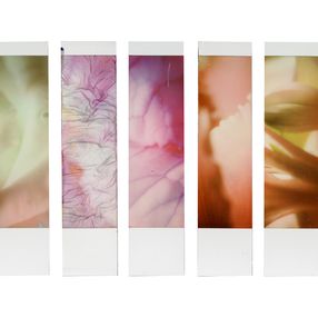 Fotografien, Organism 5.2, Johana Trayanova