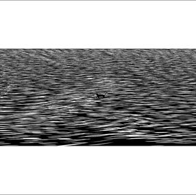 Édition, Black cat going somewhere, Kamen Startchev