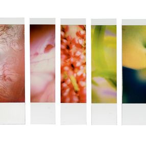 Photography, Organism 6.8, Johana Trayanova