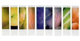 Photographie, Organism 6.6, Johana Trayanova