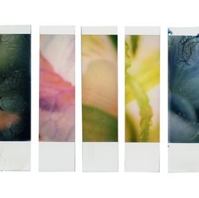 Photography, Organism 6.2, Johana Trayanova
