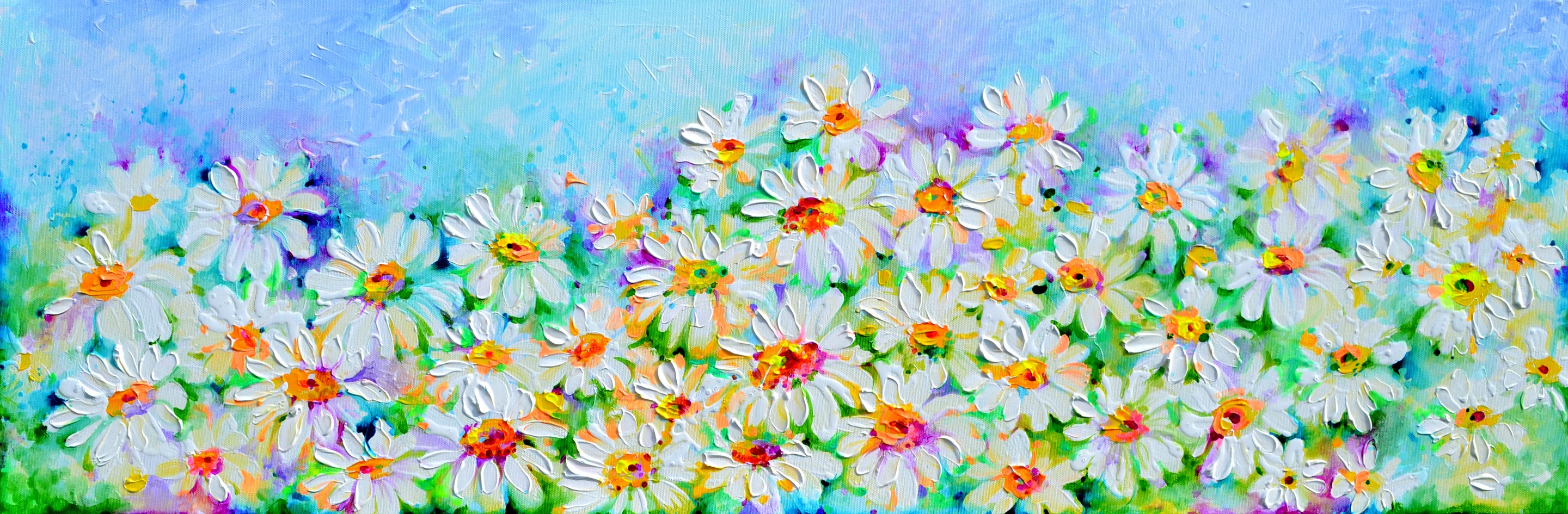Soos Roxana, White Daisy Daisies Field Soos Roxana, White Daisy Daisies Field