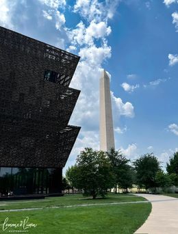 Photographie, Summer in D.C, Lemmie M. Downs-Lunn, Jr.
