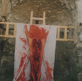 Fotografien, Pfingstaktion 6, Hermann Nitsch