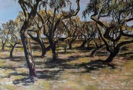 Painting, Plantation de Chênes-lièges, Nicole Lavigne
