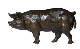 Skulpturen, Le verrat (cochon mâle), Damien Colcombet