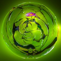 Fotografien, Nénuphar de Lumière, Paul Marnef