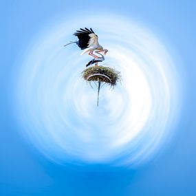 Photography, Bleu de Toi, Paul Marnef