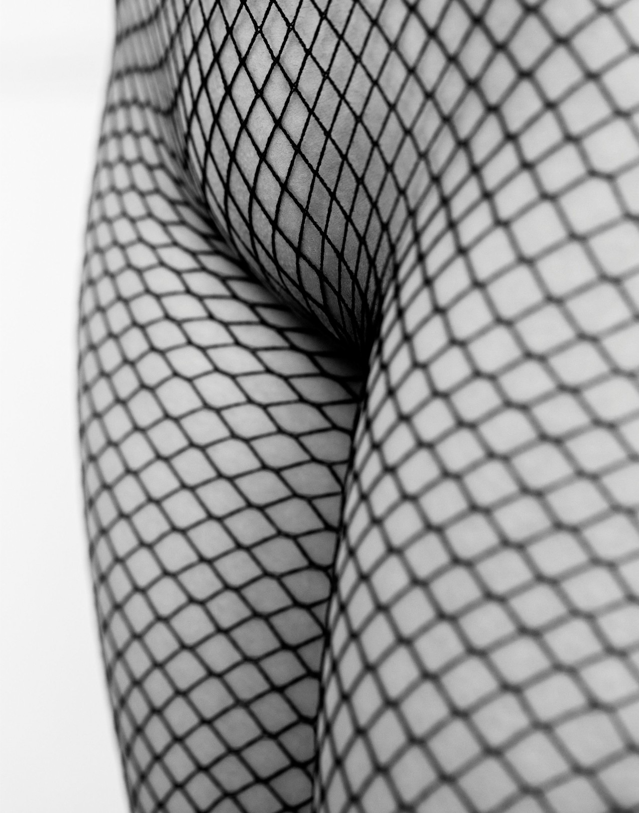 Kourosh Sotoodeh, Fishnet, III Kourosh Sotoodeh, Fishnet, III