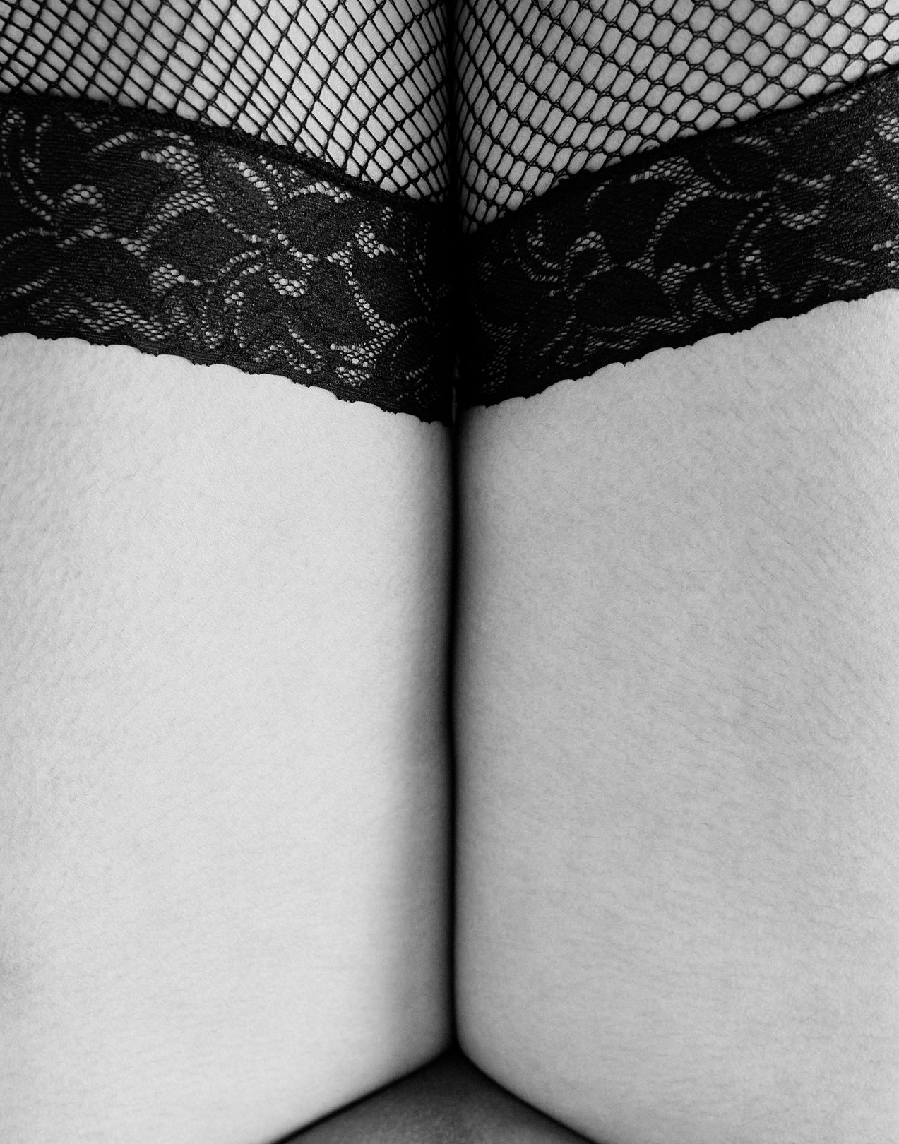 Kourosh Sotoodeh, Fishnet, V Kourosh Sotoodeh, Fishnet, V