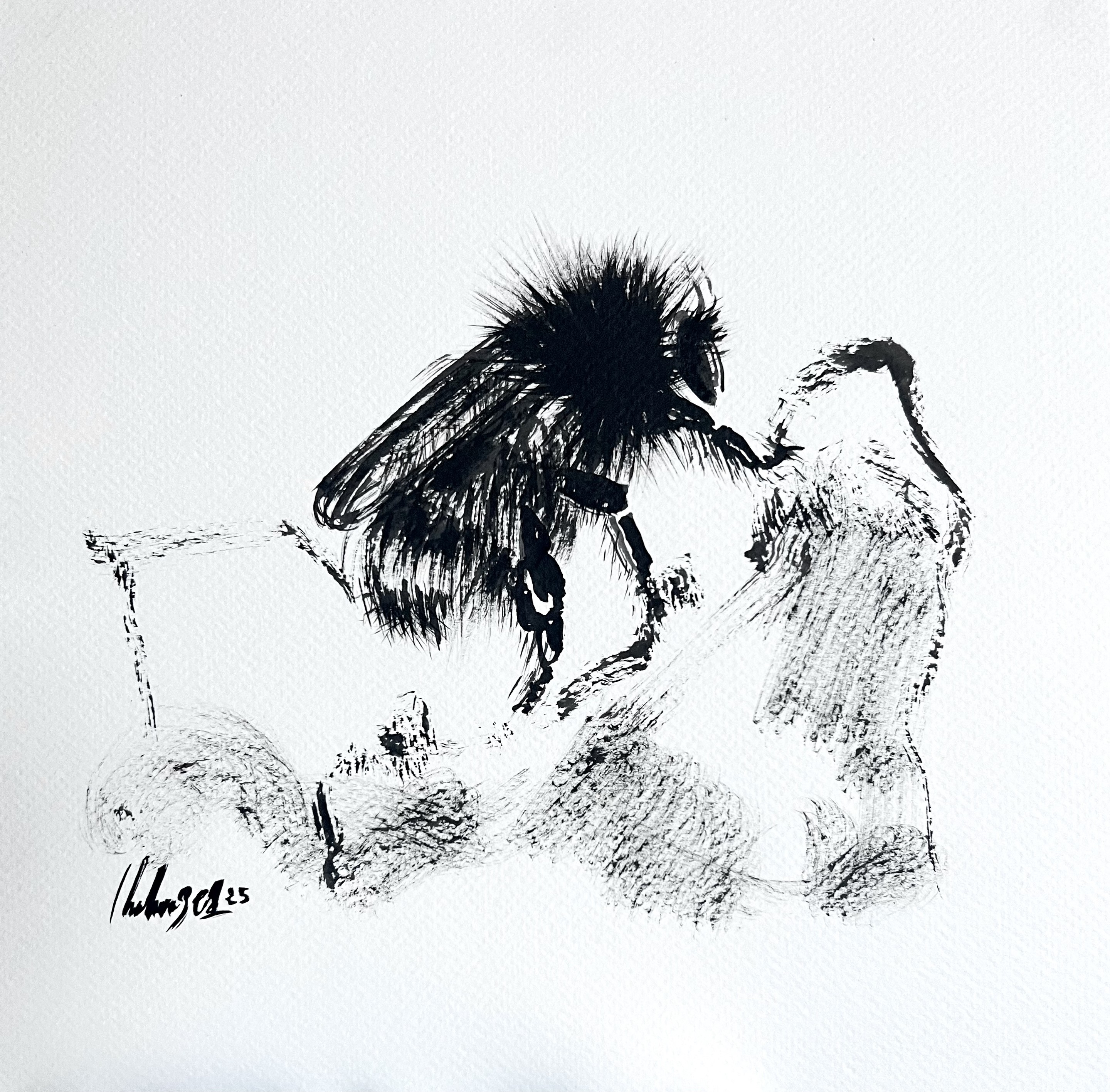 Chahrazed Fekih, Bumblebee I Chahrazed Fekih, Bumblebee I