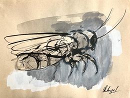Fine Art Drawings, Abeille x, Chahrazed Fekih